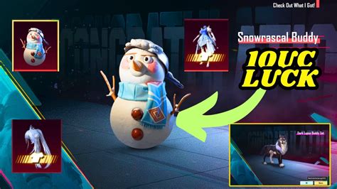 New Snowrascal Hola Buddy Lucky Crate Opeing New Hola Buddy Lucky