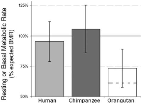 Basal And Resting Metabolic Rates In Hominoids Mean Bmr For Adult