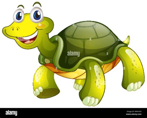 Cute Tortoise On White Background Illustration Stock Vector Image And Art