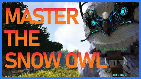 Ultimate Snow Owl Guide How To Tame And Use Pvp Ark 2023 Youtube