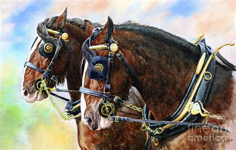 Chestnut Shire Horses Painting By Anthony Forster