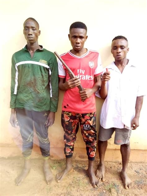 Enugu Police Arrest Eight For Robbery Cultism Recover Weapons