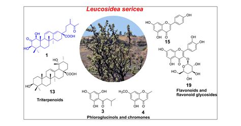 Phytochemical Profiling And Isolation Of Bioactive Compounds From