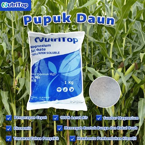 Jual Pupuk Daun Magnesium Sulfat Mgs Nutritop Premium Kg Shopee