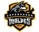 Copenhagen Wolves Vs Heimo Esports 2025 United21 Season 25 January