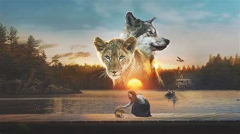 Le Loup Et Le Lion En Streaming Direct Et Replay Sur Canal Mycanal