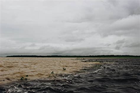 Passeio Pelo Fascinante Encontro Das águas Em Manaus Viajei Bonito