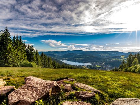 Немецкий лес (Большое количество фото) - treepics.ru