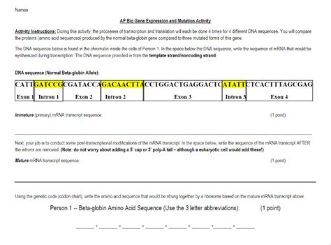 Solved Names Ap Bio Gene Expression And Mutation Activity Activity