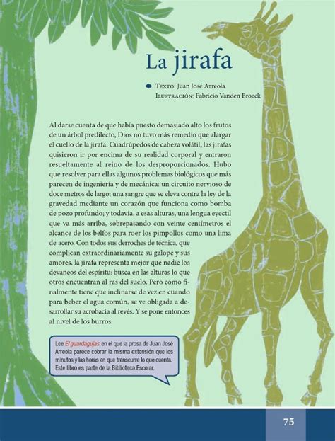 La Jirafa Espa Ol Lecturas Sexto Grado