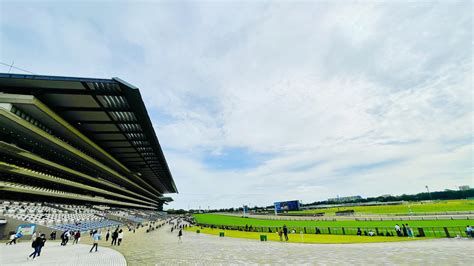 東京競馬場の歩き方【競馬×旅行ガイド】 鈴木ショータの大穴マシマシ競馬