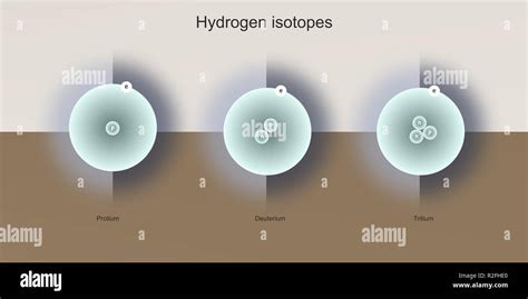 Gli Isotopi Di Idrogeno La Struttura Atomica Le Particelle Elementari