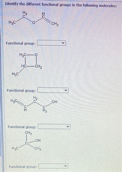 Solved Identify The Different Functional Groups In The Chegg