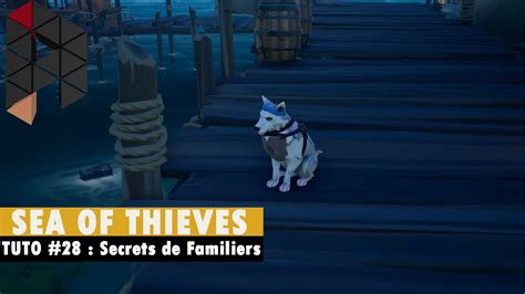 Tuto Sea Of Thieves Que Cachent Les Familiers Fr Hd Pc Youtube