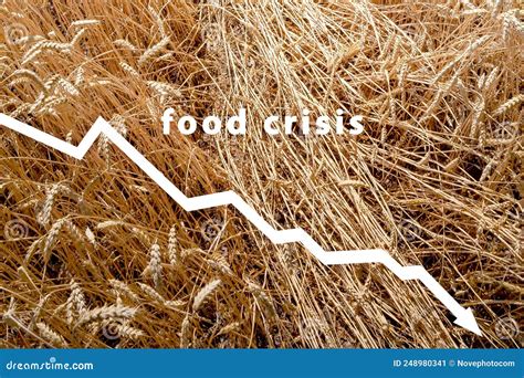 Food Crisis Cereal Crop Failure The Shortage Of Bread Russian