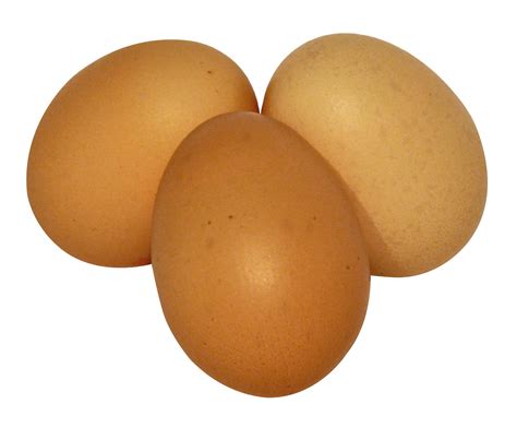 Pngegg PNG Transparent Images