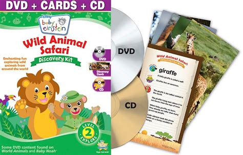 Baby Einstein Discovery Kits