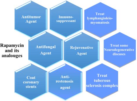 Rapamycin Golden Jubilee And Still The Miraculous Drug A Potent