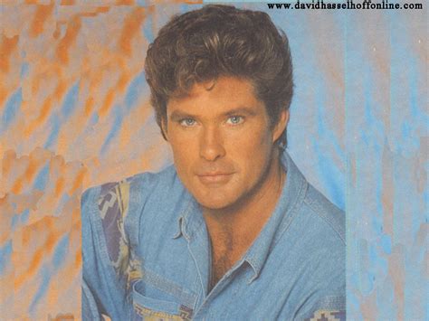 david david hasselhoff photo  fanpop