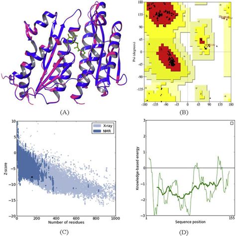 Molecular Dynamics Simulations And Interactions A Energy Plot B Rmsd