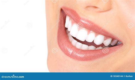 Set Of Teeth Stock Image | CartoonDealer.com #10403791