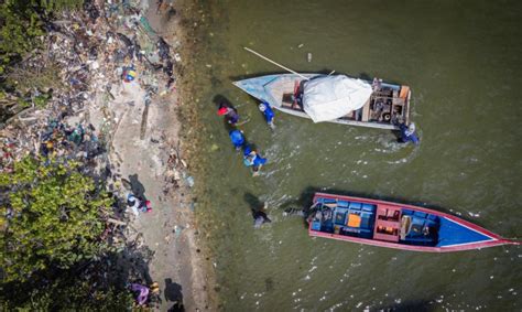 Extra Das Mil Toneladas De Desechos Del Lago De Maracaibo Correo