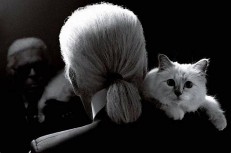 Choupette To Inherit Millions From Chanel Designer Karl Lagerfeld