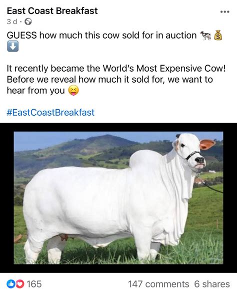 Worlds Most Expensive Cow Sells For R90 Million