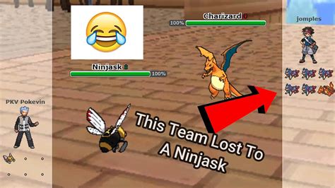 Ninjask Sweeps Everything On The Anything Goes Tier Pokemon Showdown