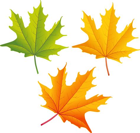 autumn maple leaf clip art 20 free Cliparts | Download images on ...