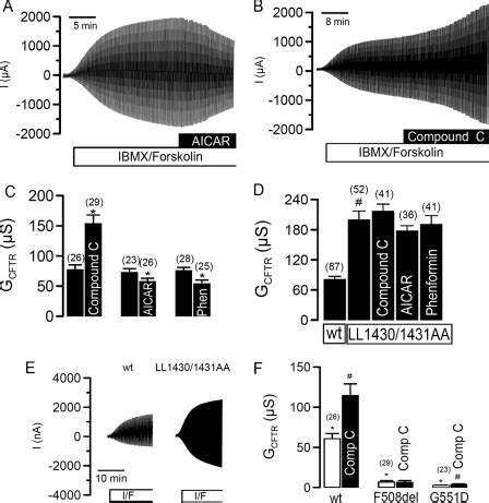 Effect Of Ampk On Cftr A And B Whole Cell Currents Activated By Ibmx