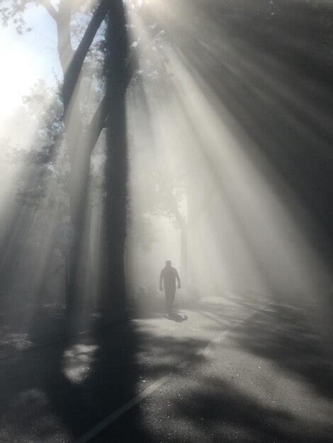 Premium Photo Silhouette Man Walking On Road During Foggy Weather