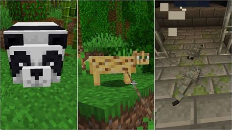 5 Rarest Animals In Minecraft 119