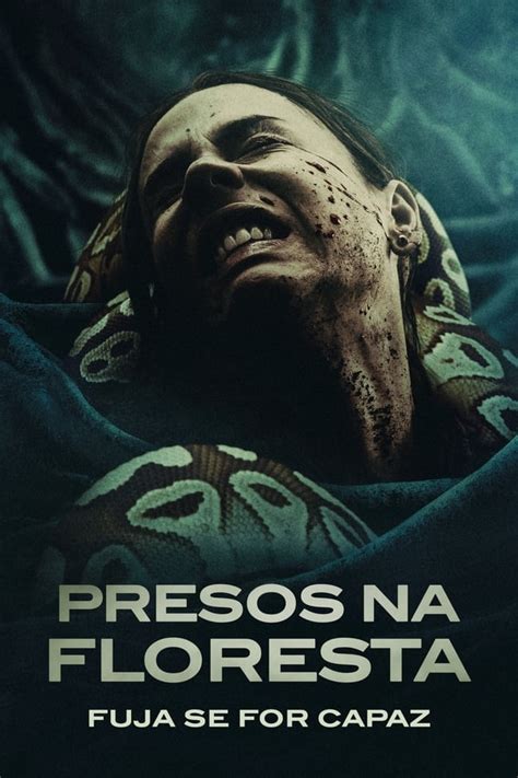 Assistir Presos Na Floresta Fuja Se For Capaz Online Dublado E Legendado