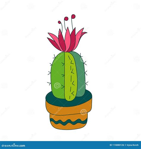 Vector Cacti Flower Background Seamless Border With Cactus