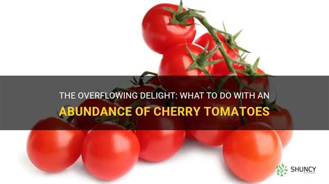 The Overflowing Delight What To Do With An Abundance Of Cherry Tomatoes Shuncy