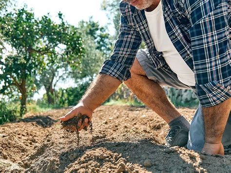 Scienza E Saperi Indigeni Per La Salute Del Suolo Il Progetto Del