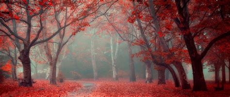 Ultra Wide Autumn Wallpapers Wallpaper Cave