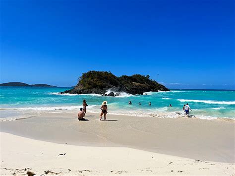 Trunk Bay Beach Saint John Island Guide