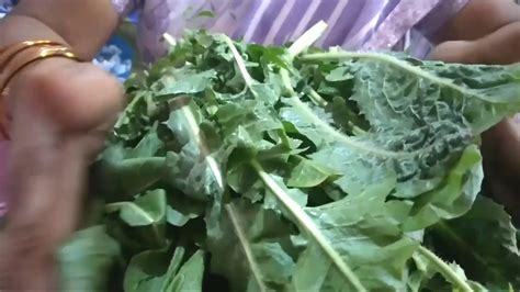 Health Benefits Of Chicory Leaves காசினி கீரை மருத்துவ குணங்கள்