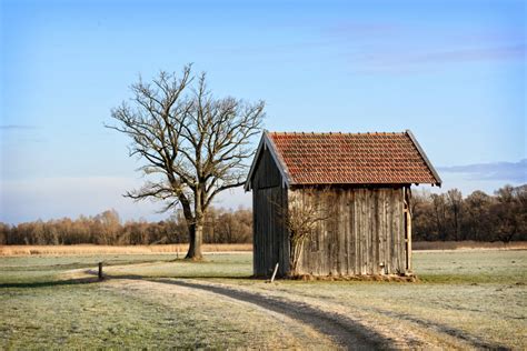 Fotos gratis paisaje árbol naturaleza arquitectura granja prado