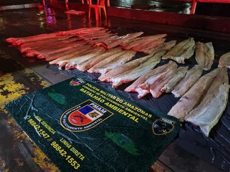 Nove Toneladas De Pescado Ilegal S O Apreendidas Em Manaus Amazonas G