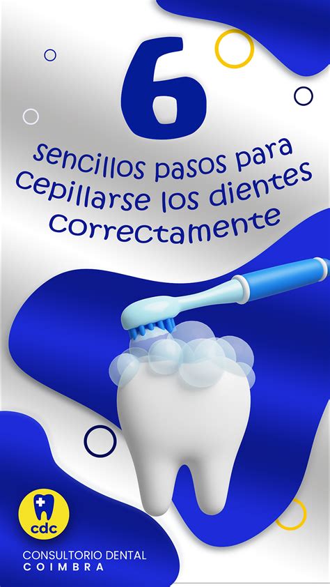 6 Pasos Sencillos Para Cepillarse Los Dientes Correctamente