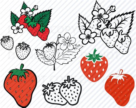 Strawberries SVG Files For Crucut Fruit Vector Images Etsy