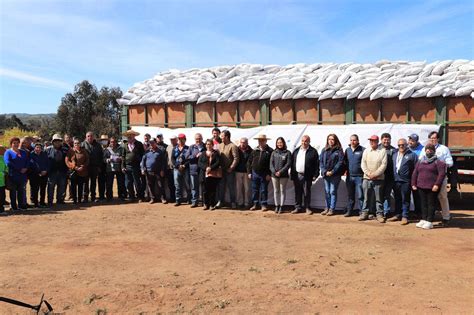 Indap Contin A Entrega De Fertilizantes Para Estimular Las Siembras De