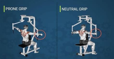 How to Do Reverse Machine Fly? Right Way & Proper Form - Sidomi