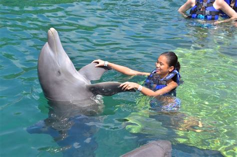 Swimming With Dolphins In Cancun Mexico Xel Ha Cancun Trip Mexico