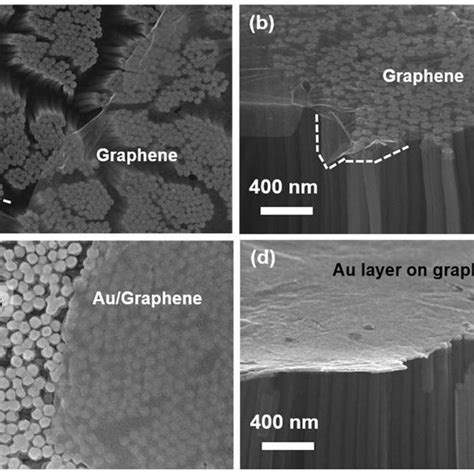 I V Characteristics And Band Diagrams A I V Curve Of Graphene Si Nw Download Scientific