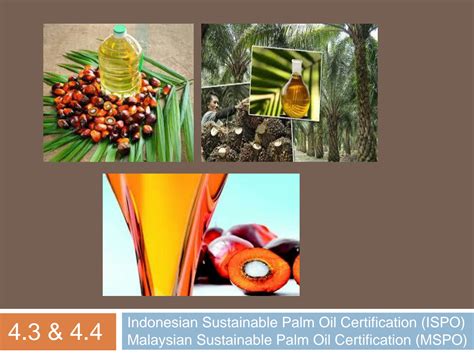 SOLUTION Indonesia Sustainable Palm Oil Malaysian Sustainable Palm Oil