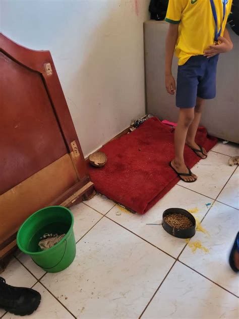 Crian As Que Ficavam Trancadas Em Quarto Sem Acesso Comida E Gua